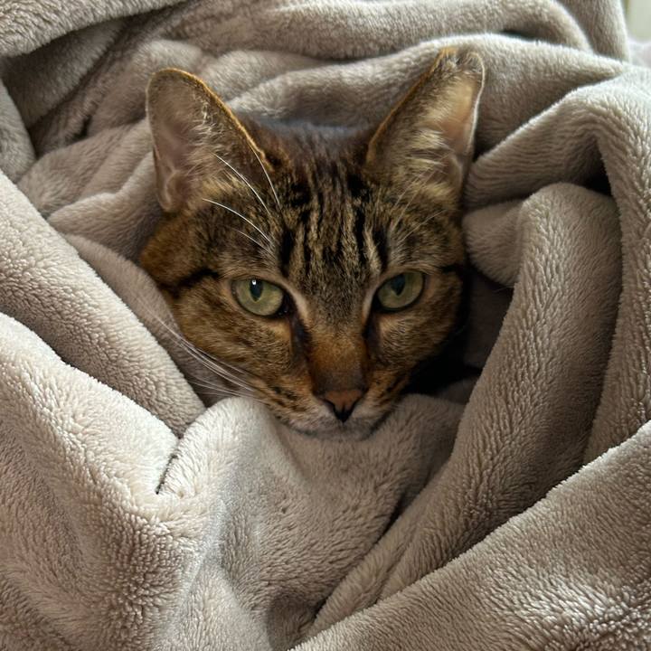 6d056961 a185 47c7 8ee4 81c6c3e474b8 1743320479225