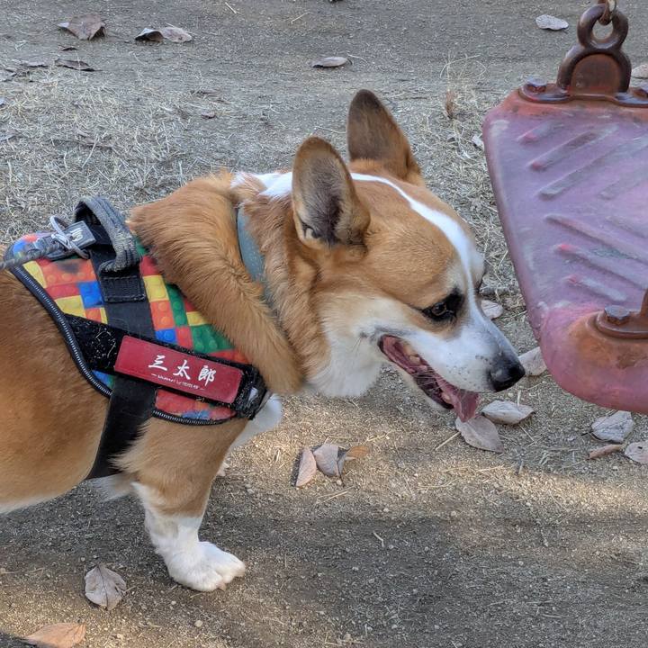 6d05865e a30d 492f b046 3ec2b09f4654 1768448708712