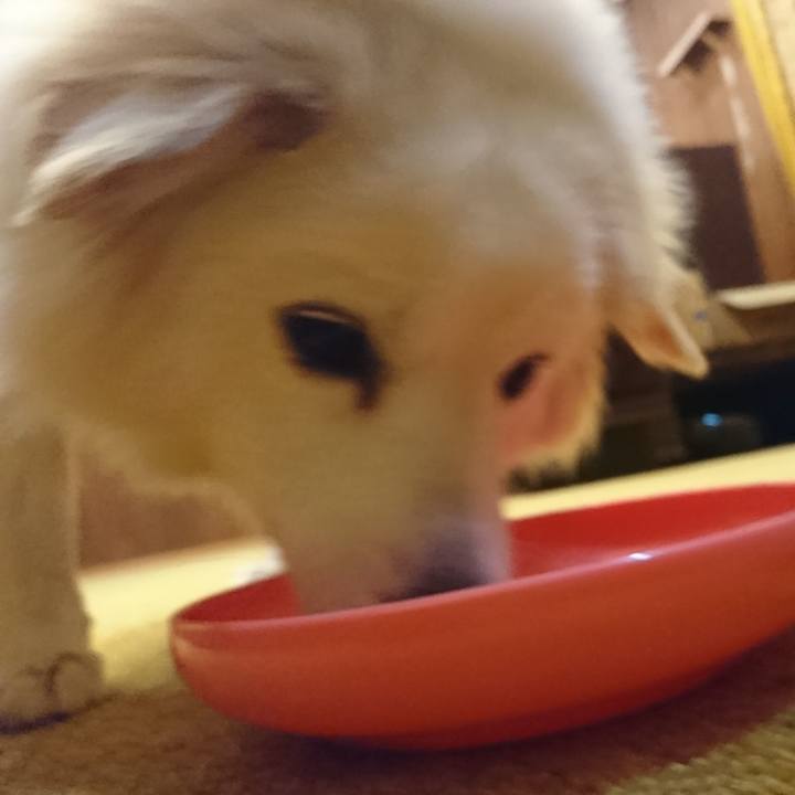 6d05b718 63c4 4612 a562 56a5bfc81a66 1550266752764