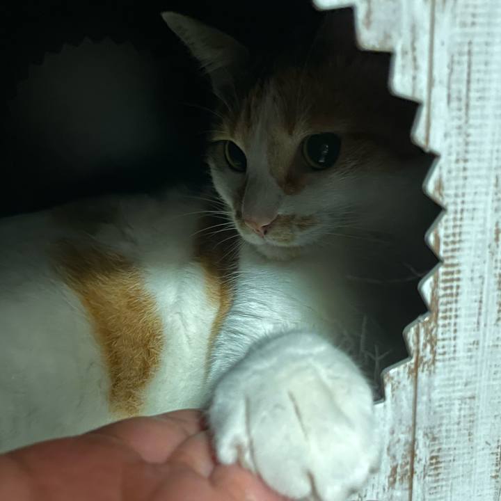 6d05c1fe 3103 4673 91c9 d0f244c8ce8a 1656157311478