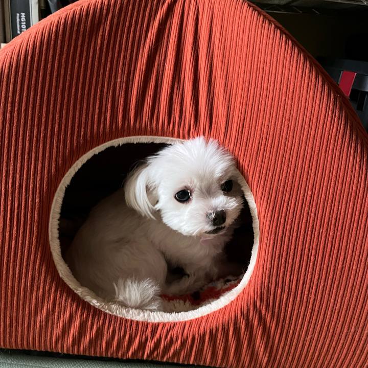 6d05d22e 97d6 4482 84f3 8b3fe1829289 1696666227219