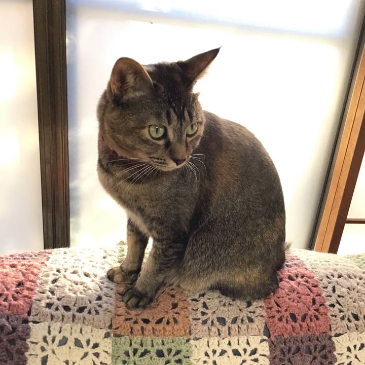 6d061ce3 3378 468e 82a1 b301ae54124c 1640561479358