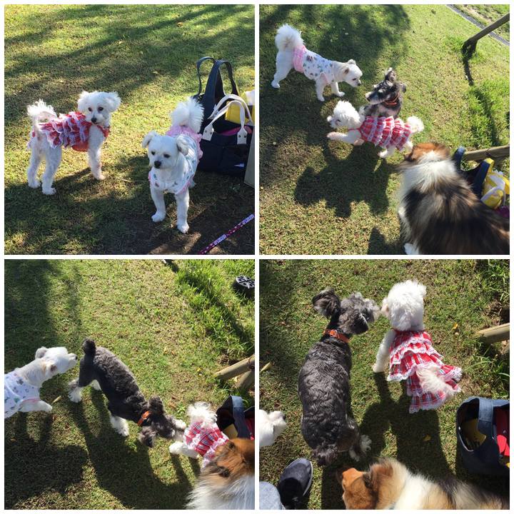 6d06760a e890 40e6 871b c3f32af6ed32 1538909674750