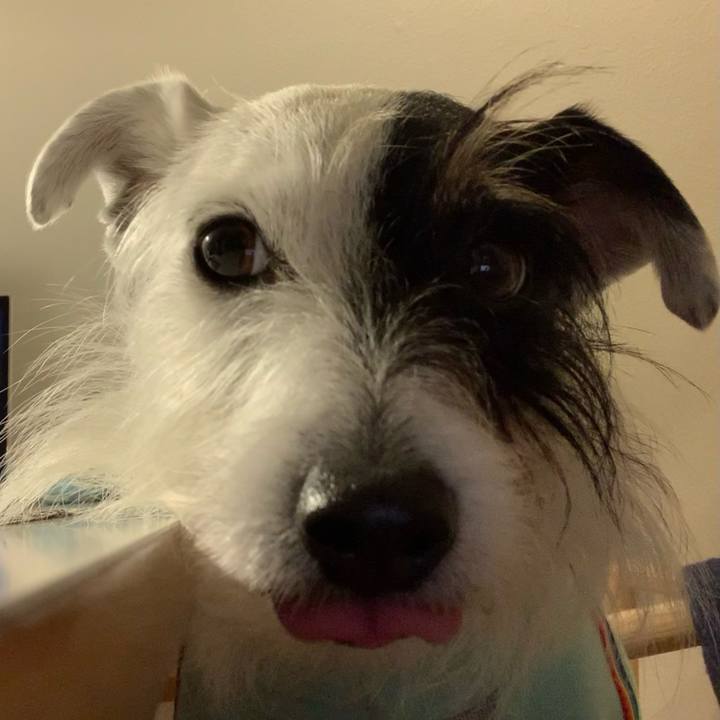 6d06d41d 97a2 4694 a626 a87978fba15f 1645611359197