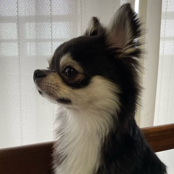 6d073deb fd05 4b2c bf3b 4f5515c04b79 1629092540127