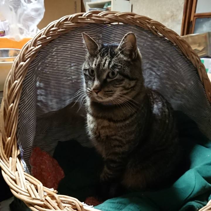 6d07937c 0632 4880 b02f c508cc6c3350 1642711636047