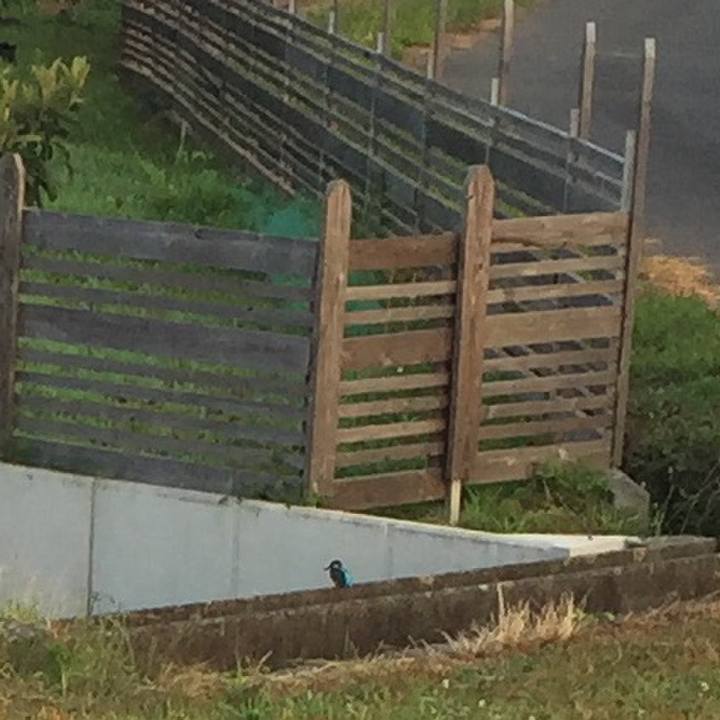 6d07e981 d266 4fa4 a795 37704b1ebb68 1531953319490