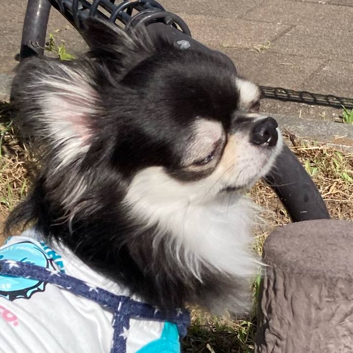 6d07fe98 5ac0 4445 83f3 84c121d99da6 1656218098673