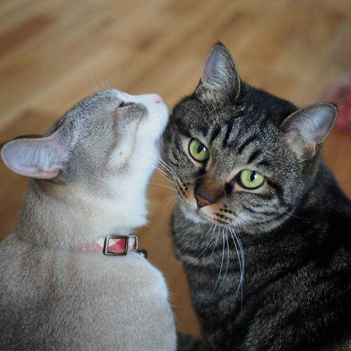 6d07ff54 2a36 46c6 ae01 9e6ec0e83e2c 1580097489914