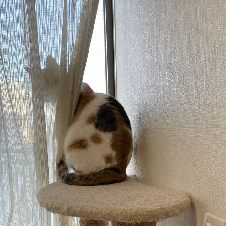 6d084cfd 923c 4212 91fc 5f5cd91354cf 1606734821873