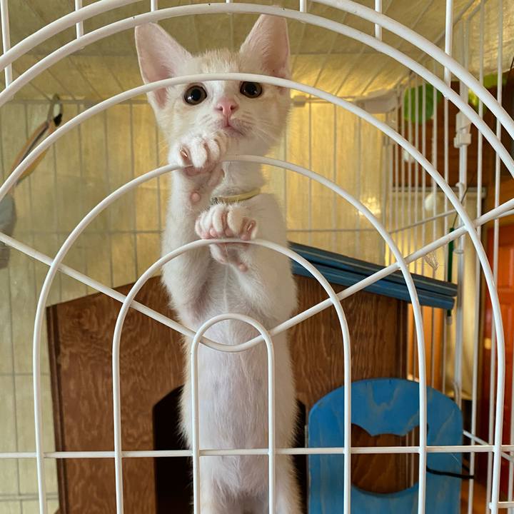 6d08576d 932c 450c a67c 8fdfe208b853 1719385378876