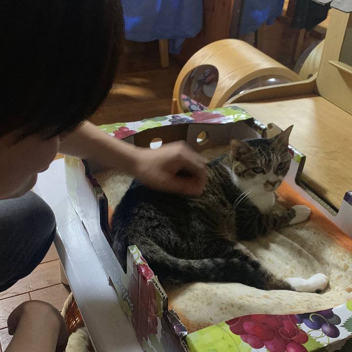 6d0883c5 2891 492a b64d cc46b7c551e9 1665875615802