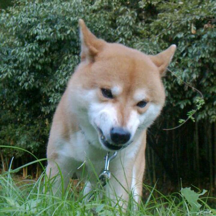 6d088c3f 3267 445b 8c8c eb6525554102 1540128057219