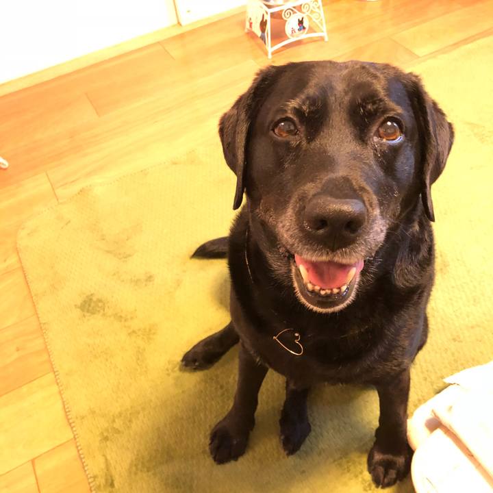 6d08a14e 6659 4764 83a4 29054700e75c 1525226145070