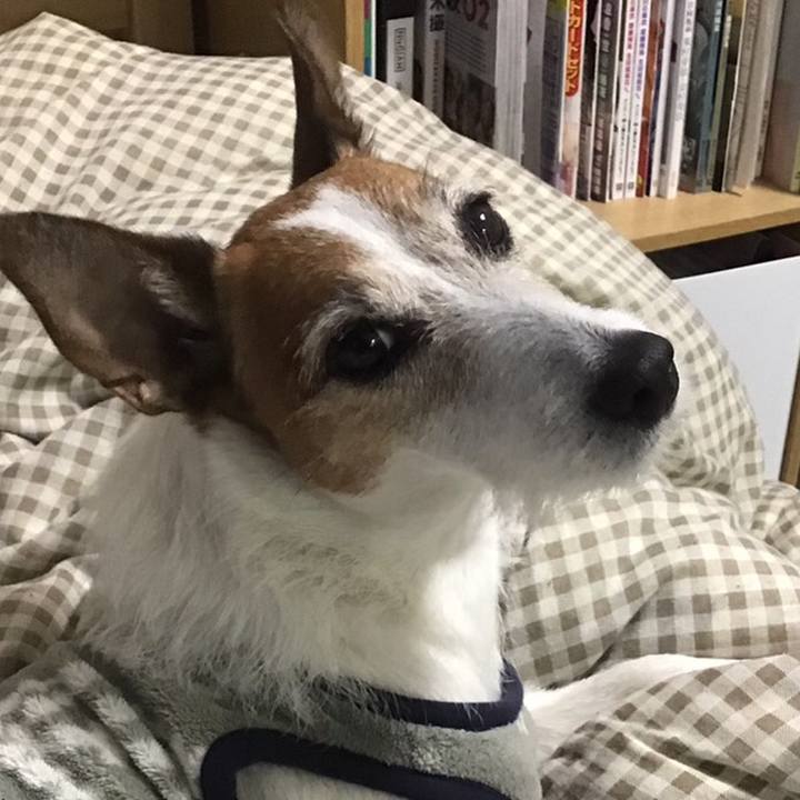 6d08abe2 df61 4e9b 8d7e 3450c8a9c753 1616373826014