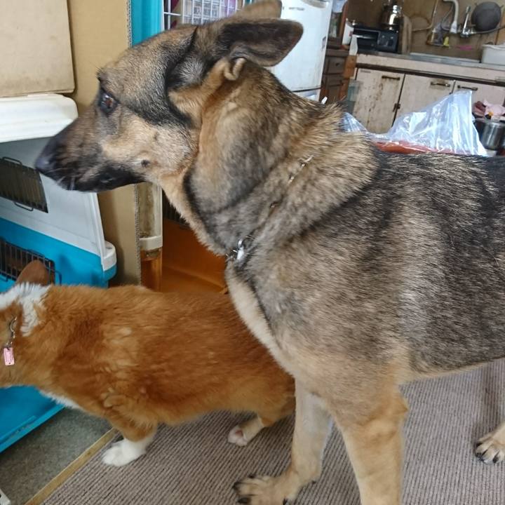 6d08c7ff 7b25 43fb bd34 2d4b729f7faa 1515901780822