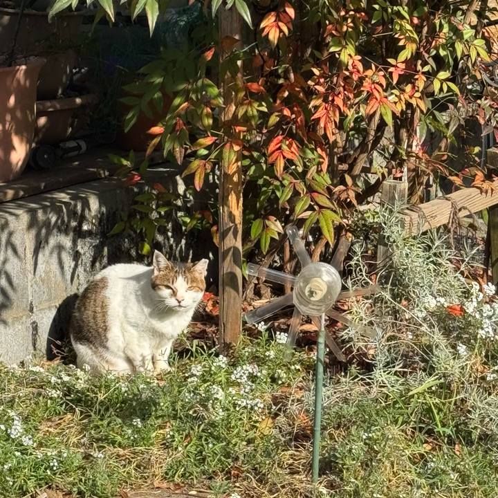 6d08ebc5 6f6b 414f 9c9f f48f9b2d65d3 1763955393383