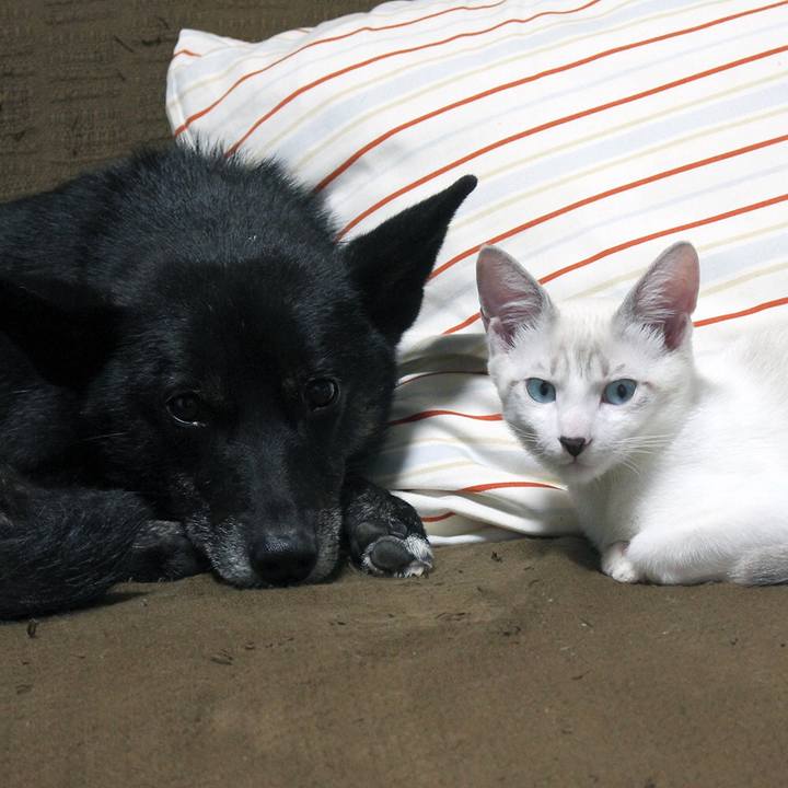 6d09373a fb9d 4875 9d1e 7fb8871e306e 1610408430026