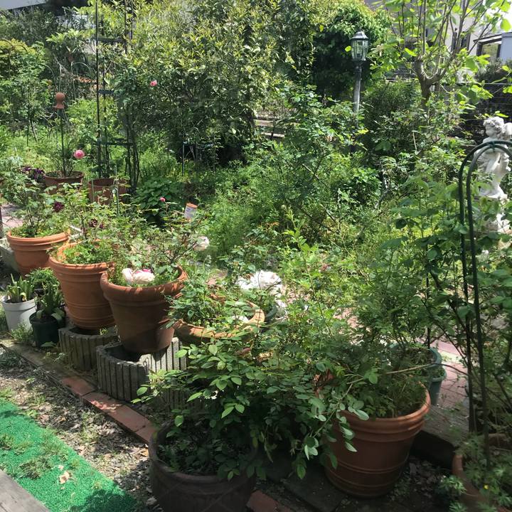 6d0976ce 344e 4fcf ad77 eb692fa711d4 1523878268233