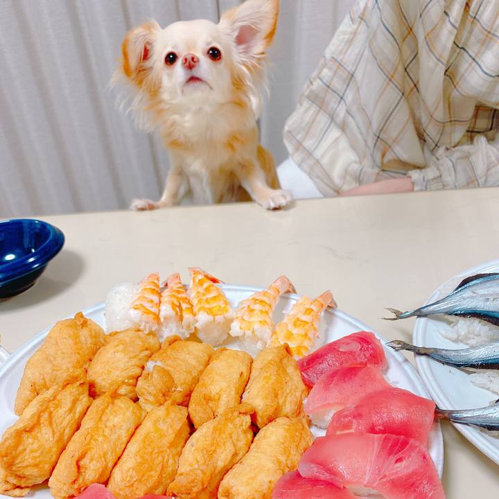 6d0995e2 d3df 4a4e 8162 51ab121ffcb8 1647320915719