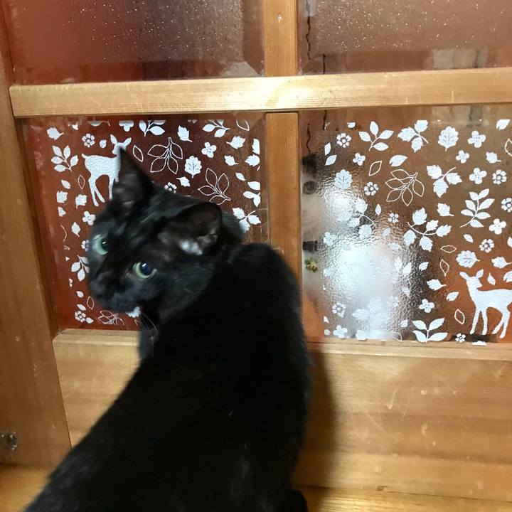 6d09960a 6613 40f9 b596 8ea5610cdf5a 1527774200981