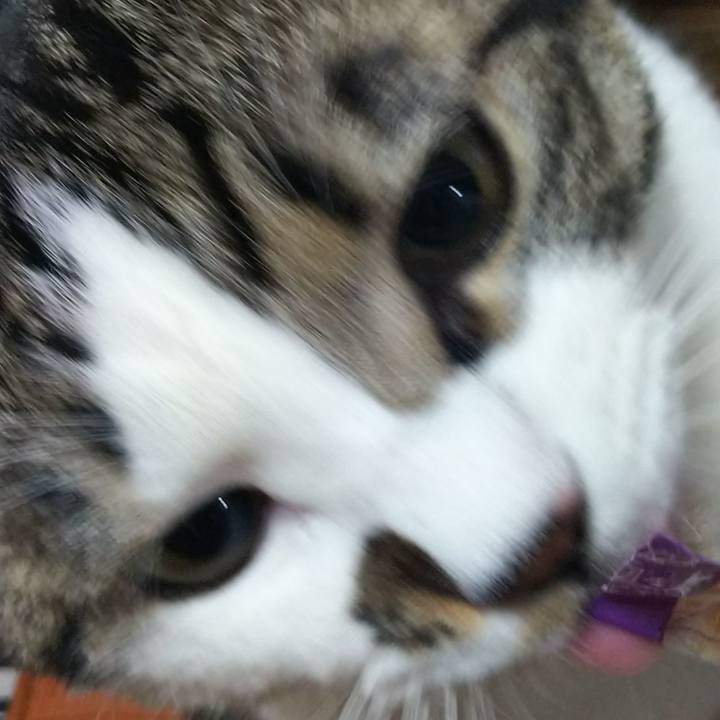 6d09d0eb 7afb 4531 94df ce6e64410cd6 1665662987270