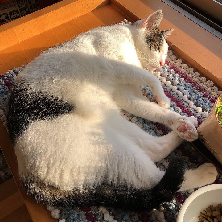 6d09eac5 e916 4ffd 83e9 a153f21574b5 1661809865239