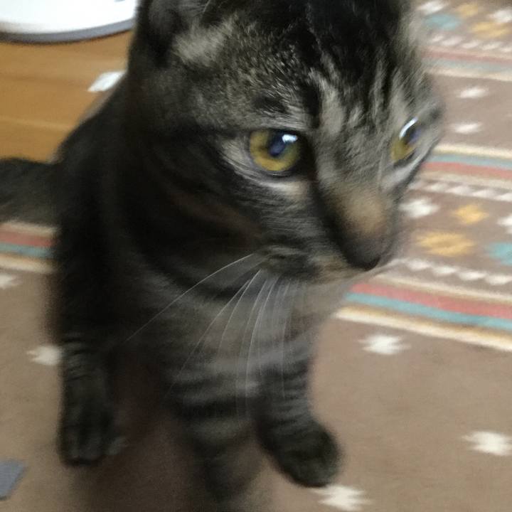 6d0a0216 da76 45b3 a5f9 9295426af595 1563283010786