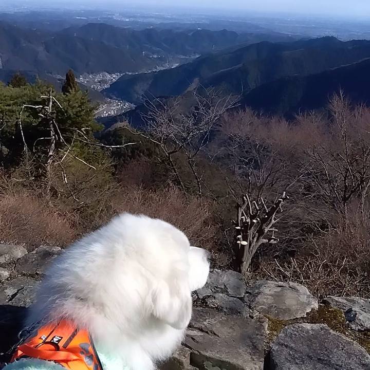 6d0a0580 c16c 4de9 8a76 b79301db0824 1674505154347