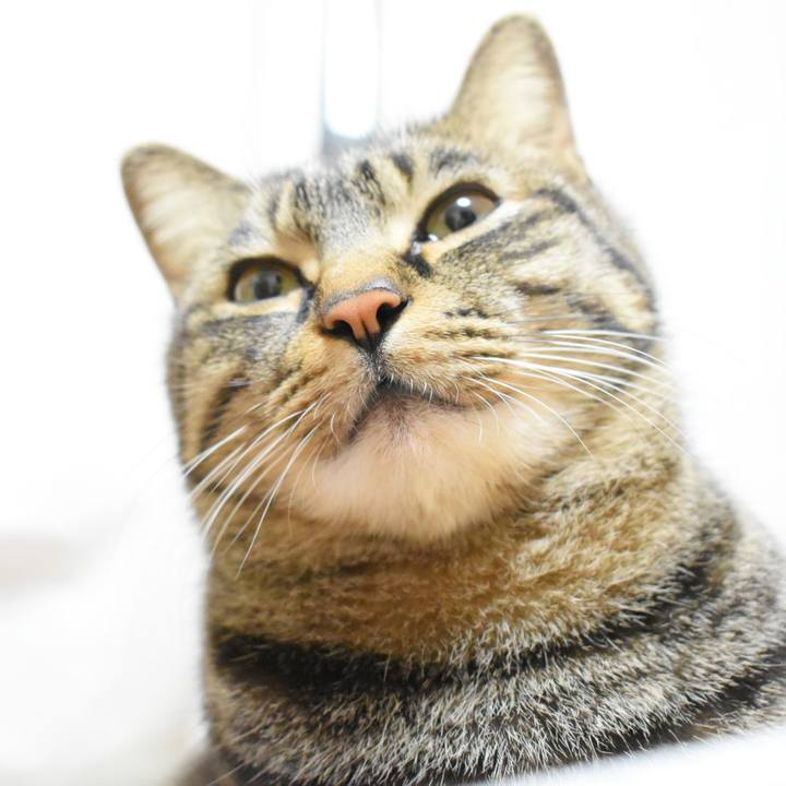 6d0a4464 120f 4637 9859 12746b6a4c00 1512828078541