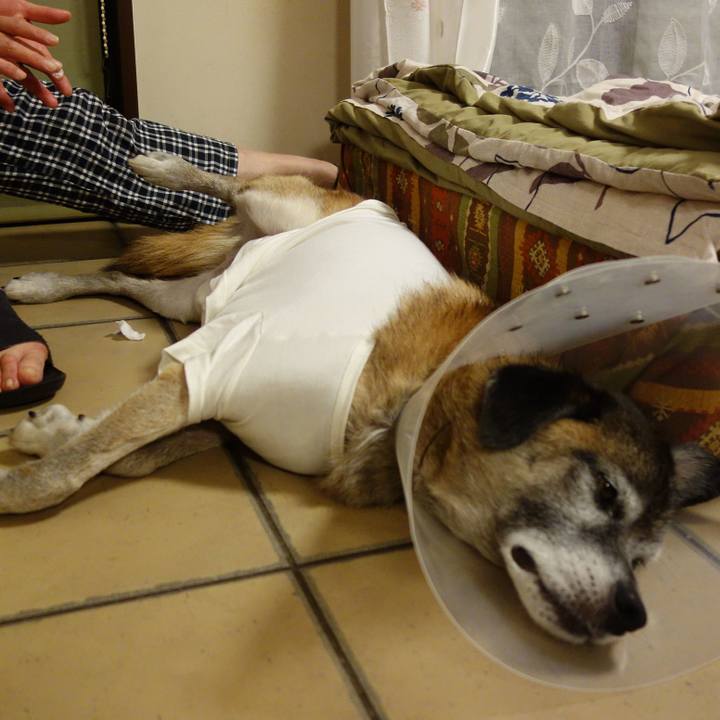 6d0acecf 1e99 476a b367 542a2b2432e8 1571703129765