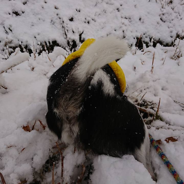 6d0ae65e b6e2 4d4f 8acc 322865b3c445 1514436166749