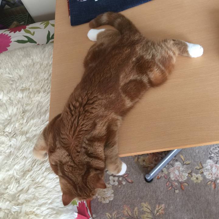 6d0afe08 db5b 4110 b4b3 4dcfe6073a42 1535583063106