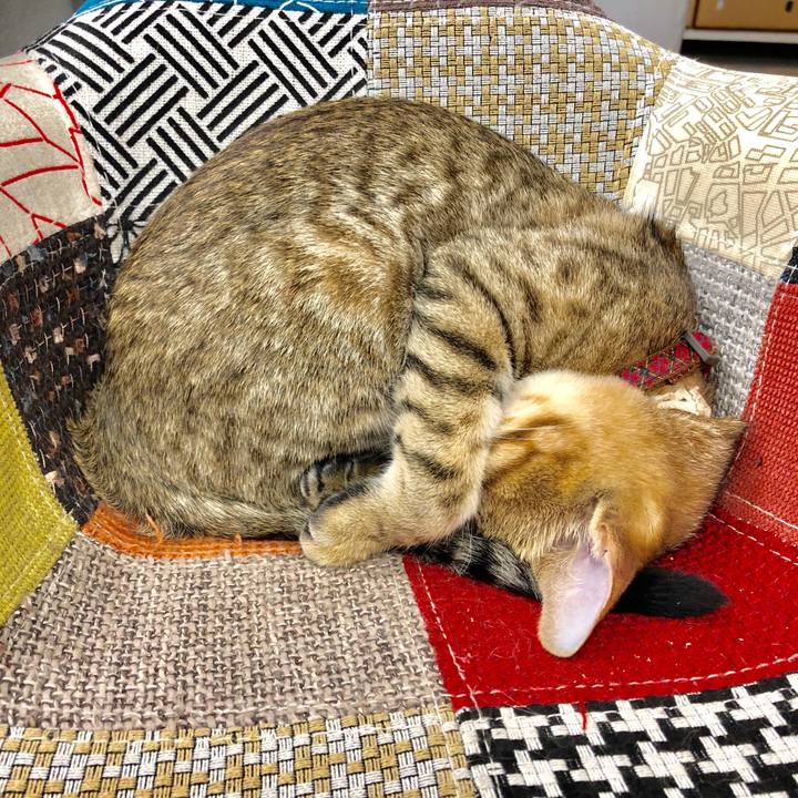 6d0b4c92 1557 40d4 b0d7 119fc0a57428 1579852934323