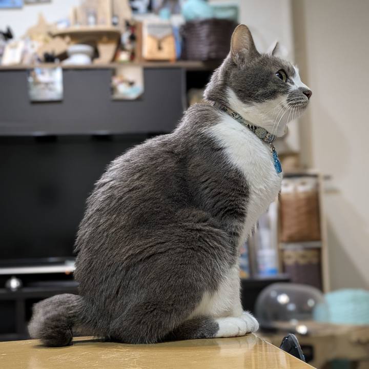 6d0bb67a 14c6 4dba bd33 c7ede3745309 1765371502251