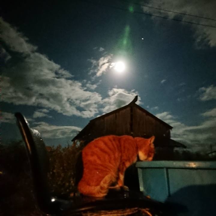 6d0c2443 5d4a 4806 b66e 19031f1d0ce4 1604053686576