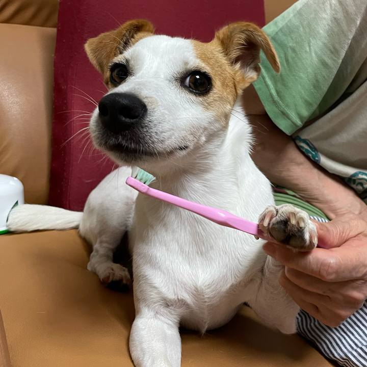 6d0c950a caed 4a01 a759 87c01ea9489c 1625925914771