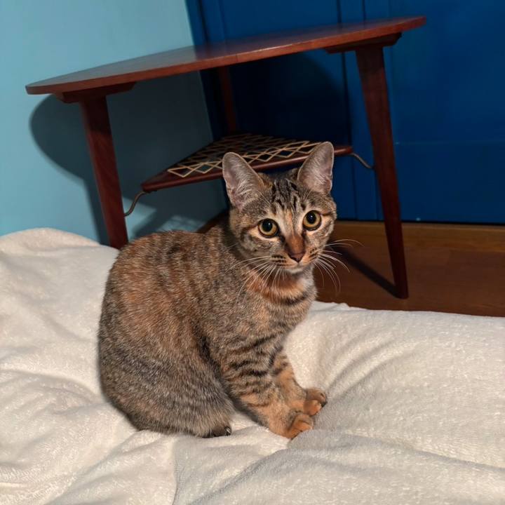 6d0ca2e0 8acd 4bd1 942a 3311d75d4797 1734344229701