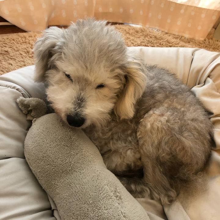 6d0ccdfc 8f00 40b9 ab82 1cfa4c2d1967 1636070313175