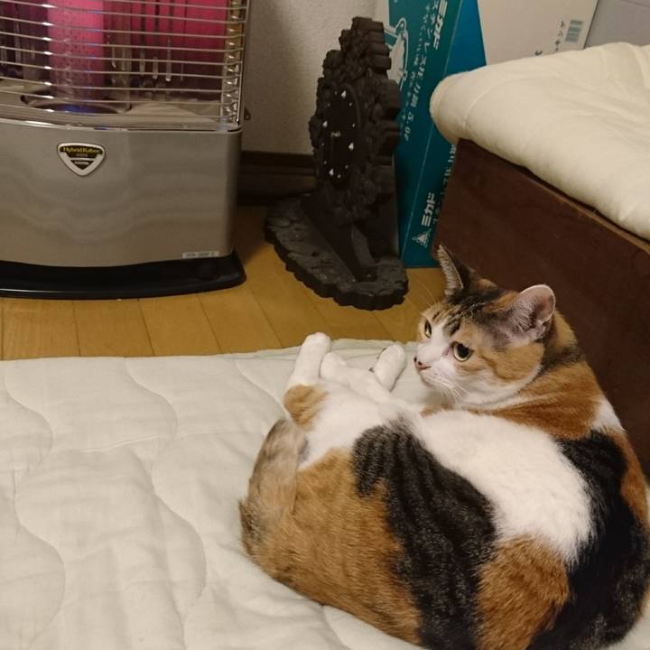 6d0ce4bd cc48 4e43 a6fd 744c8f6171b4 1514716311817