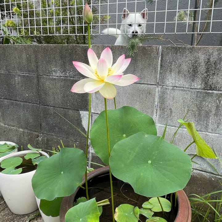 6d0cf05e af91 4654 8103 b584e9322ab8 1624323747001