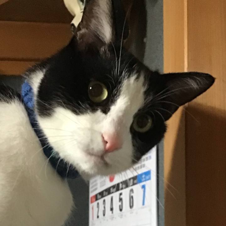 6d0d5d7b 3c44 46d8 bdbd 238e63990f3a 1749634298497