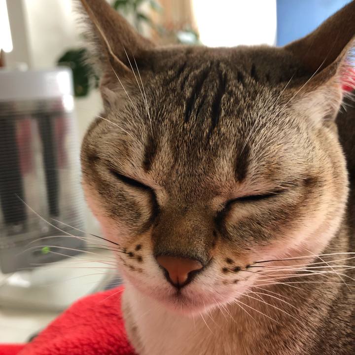 6d0d60b8 1c4f 4cc8 a8a4 7cb2fe79e275 1547466226212