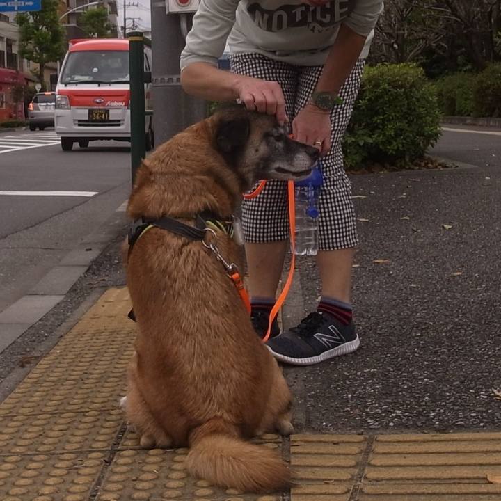 6d0d88ca 84a9 4ca9 9170 ec525752d033 1590833688176