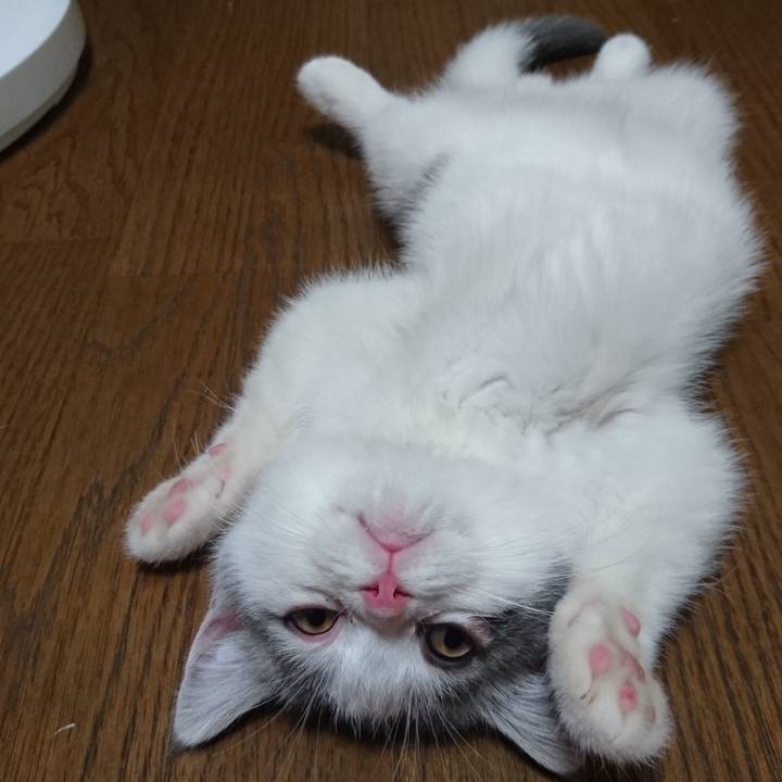 6d0d9d33 3316 4d6e ae23 4a0e5eaa4d74 1604221416874