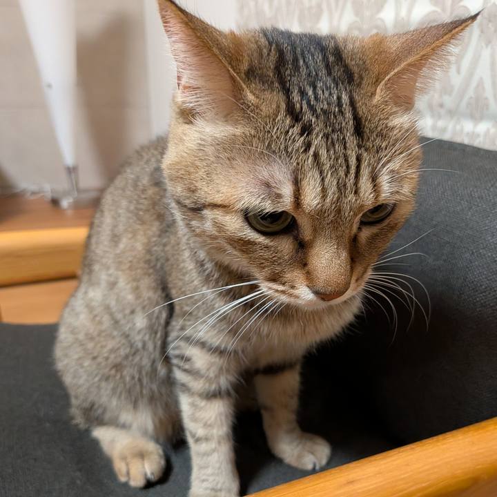 6d0ddd81 053e 4504 b74e 30412d48785b 1771099297392