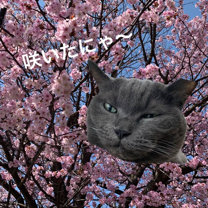 6d0dde6d b51b 43ac 8ab2 af3f28c657d3 1714390343126