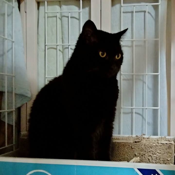 6d0dedd3 bc1a 4e8e 82f5 3607e678eb12 1653989830840