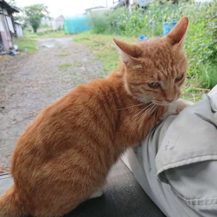 6d0df33a 700a 42cf b44b 4c5fa5998301 1595796662655