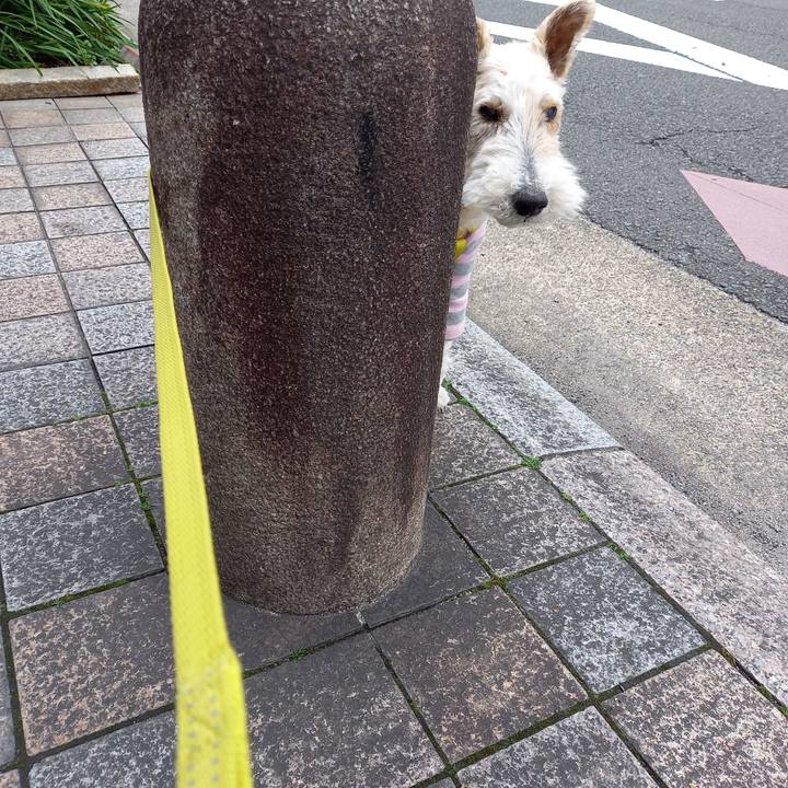 6d0e14d0 0028 416e a5b4 89eecb6161d1 1647688655176